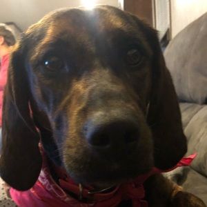 Meet your Posher, James